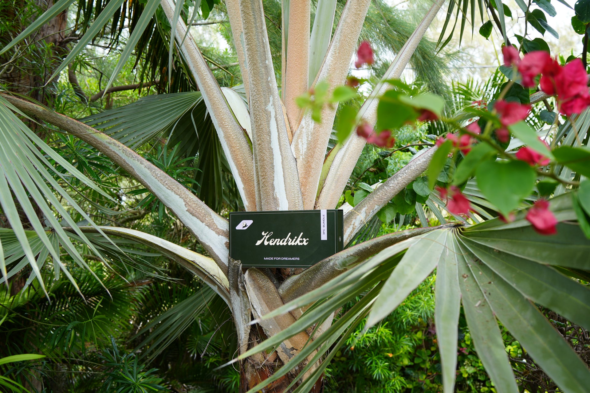 Crafted for the Endless Game